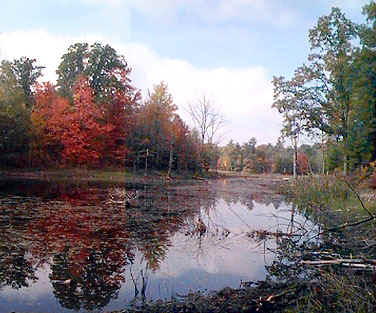 Colors reflected in lake, Evart MI