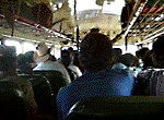 Typical bus interior