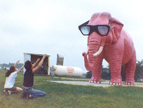 http://goodfelloweb.com/layabouts/images/anarchist_gathering_0787/pink_elephant_1987.jpg